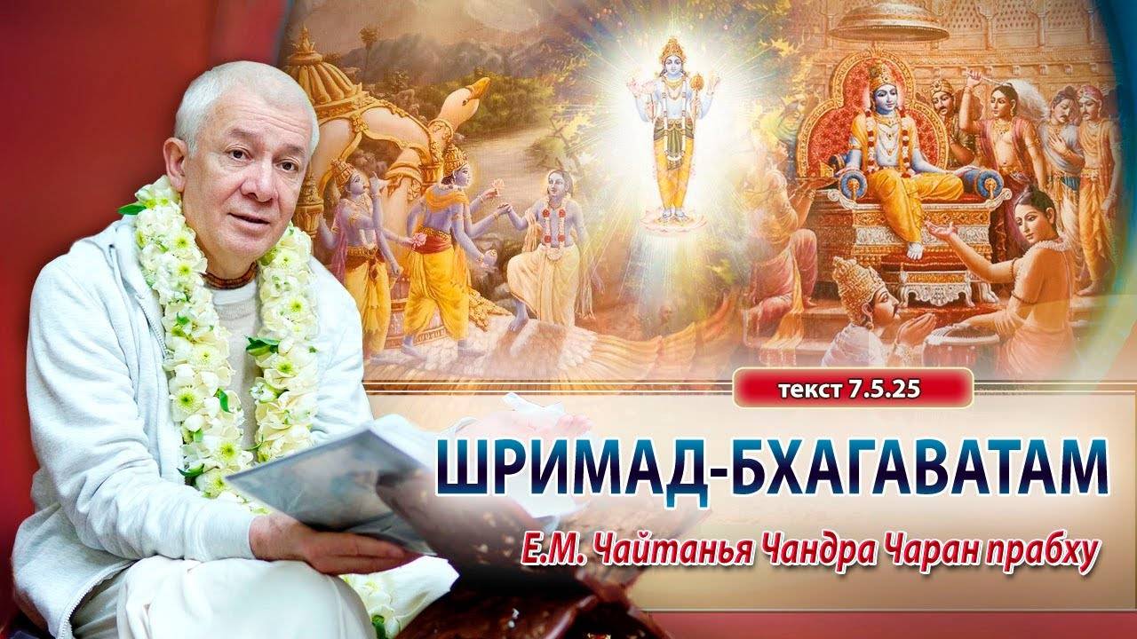 22.09.2024 Шримад-Бхагаватам 7.5.25. Е.М. Чайтанья Чандра Чаран прабху. Вриндаван Парк