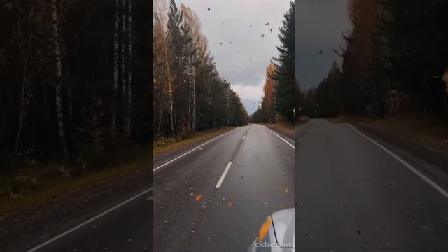 🍂 Россия