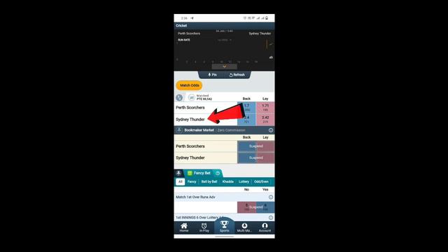 What Is Back And Lay In Telugu || Back And Lay Betting