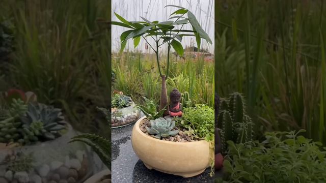 Осенний дождливый вайб с мини садиком 🌧️