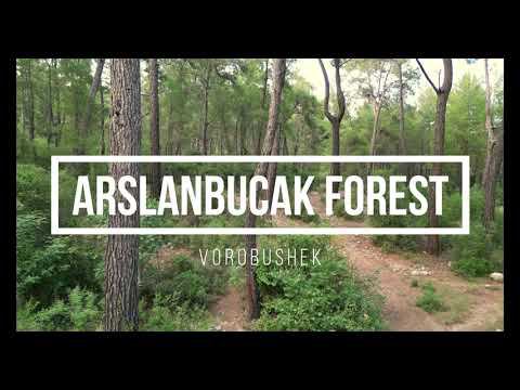 DJI Mini 3 PRO. 4K video. Arslanbucak forest, Kemer/Antalya, Turkiye.