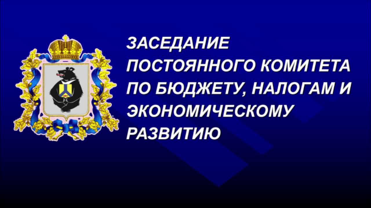 Заседание постоянного комитета Думы по бюджету, налогам и экономическому развитию