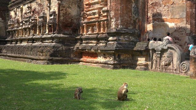 Ancient City of Polonnaruwa, Sri Lanka in 4K Ultra HD