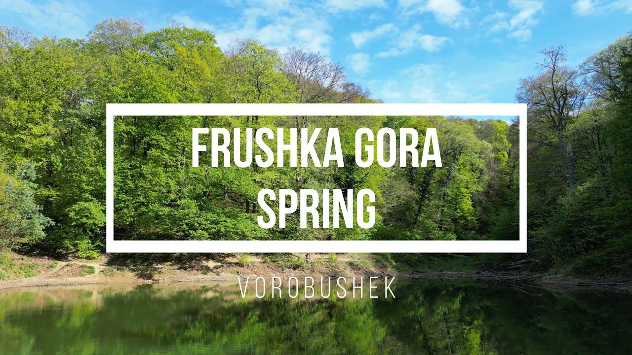 DJI Mini 3 PRO. 4K video. Frushka Gora Spring. Vojvodina, Serbia