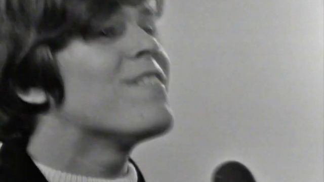 Herman's Hermits - No Milk Today (1966)