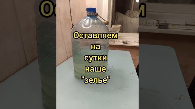 Если канистра зацвела?