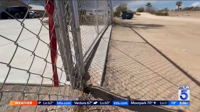 80-year-old woman mauled to death by 2 dogs in Victorville