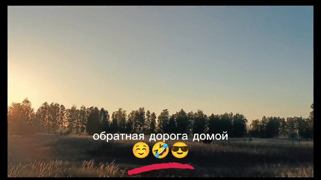 Главная дорога 😎