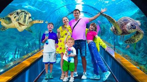 Семейный День в SeaWorld