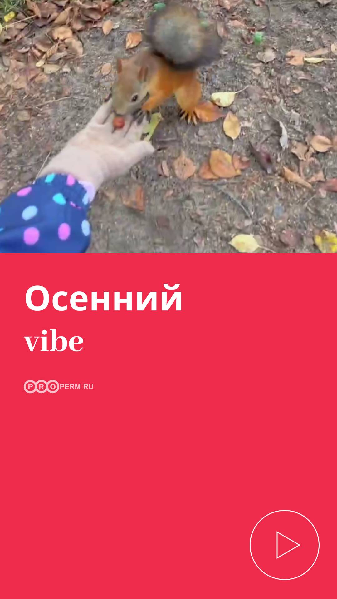 ОСЕННИЙ VIBE