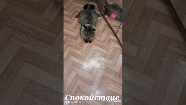 мамина радость😉🥰