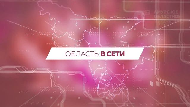 Программа"Область в сети" № 273