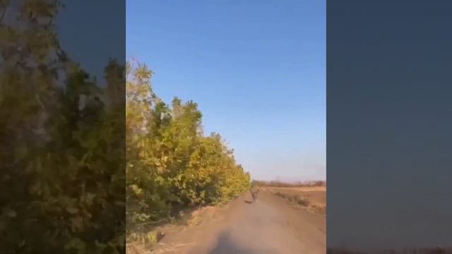 На кроссе под огнем FPV и артиллерии противника