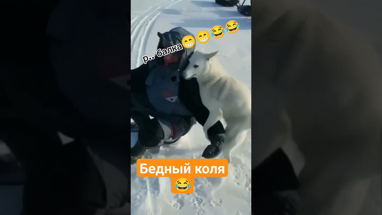 бедный Коля. или зимняя рыбалки ну или...