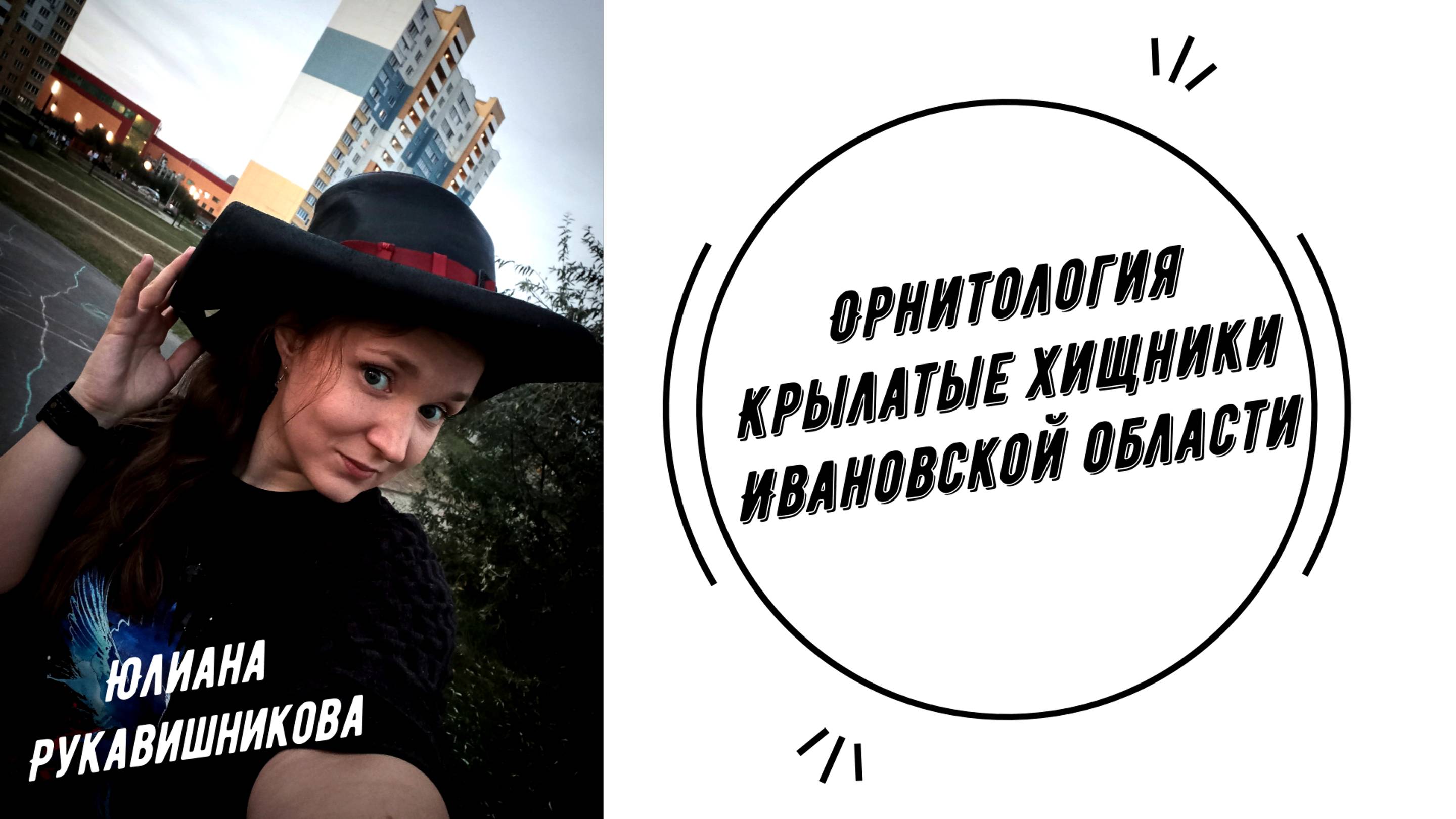 Орнитология Крылатые хищники Ивановской области | Юлиана Рукавишникова