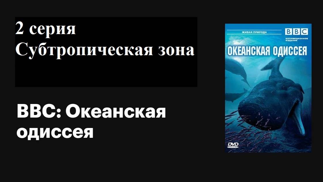 Океанская Одиссея (2/3) | Субтропическая зона