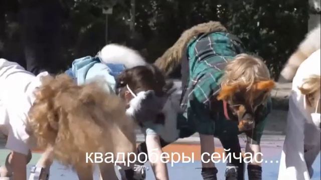 мем с квадроберами сейчас и раньше