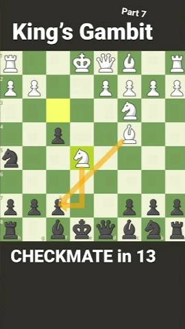 CHECKMATE in 13