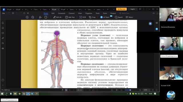 9 класс_8_27.09_Б_Строение нервной системы