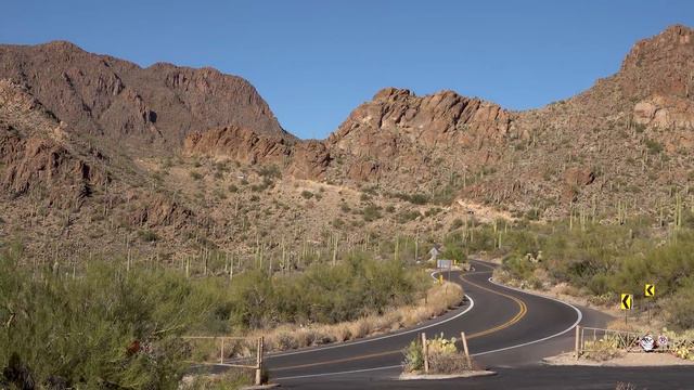 Saguaro National Park, Arizona, USA in 4K Ultra HD