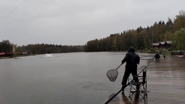 Поимка форели. Пирс.