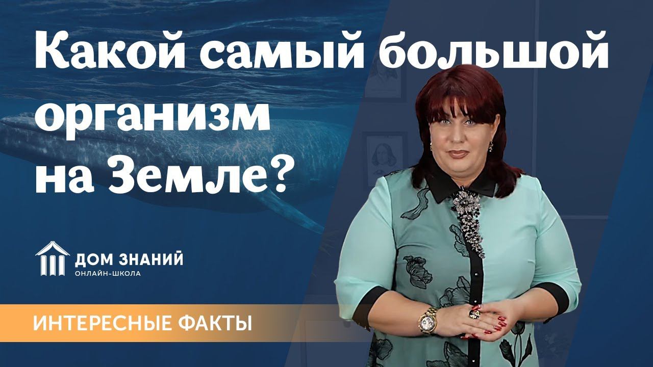 Интересные факты. Самый большой организм на Земле