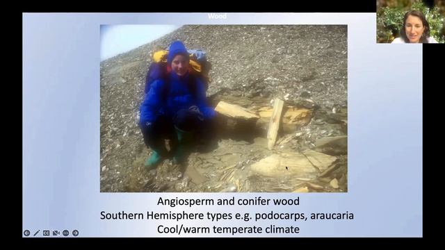 Древние флоры Антарктики (Ancient Floras of Antarctica as Indicators of Past Climate)