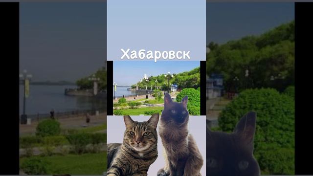 Это Хабаровск … детка :)