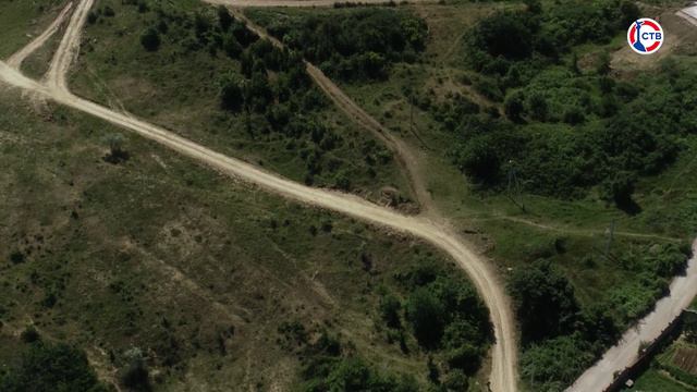 В севастопольских лесах сняли ограничения на посещение