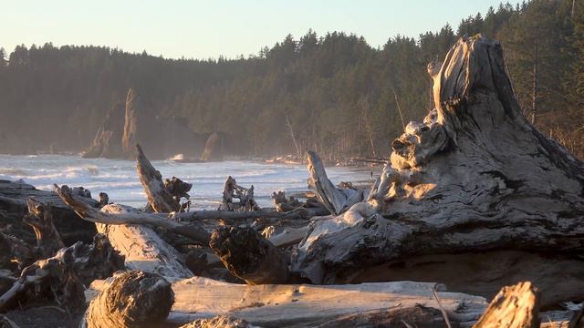 Olympic National Park, Washington, USA in 4K Ultra HD