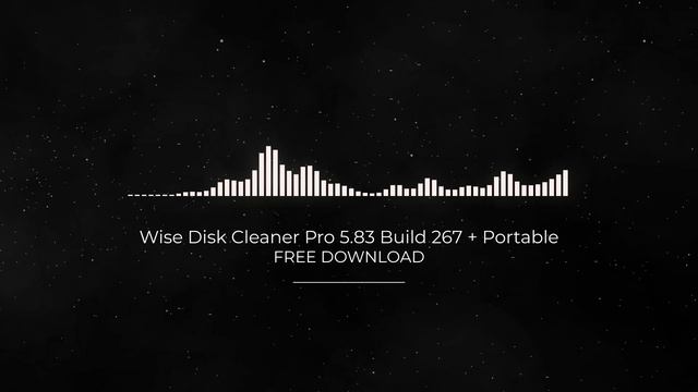 Wise Disk Cleaner Pro 5.83 Build 267 + Portable FULL