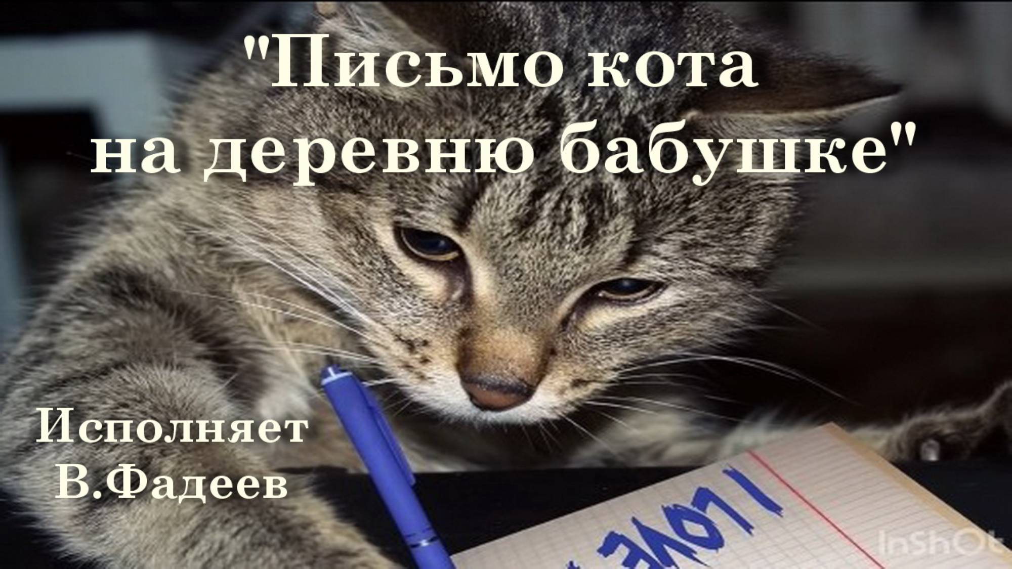 Письмо кота на деревню бабушке