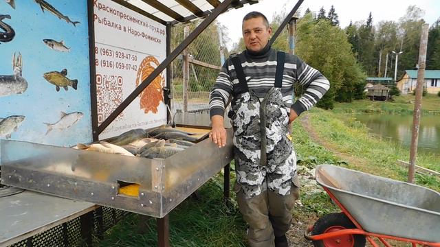 Отчет рыбака за 27 сентября 2024