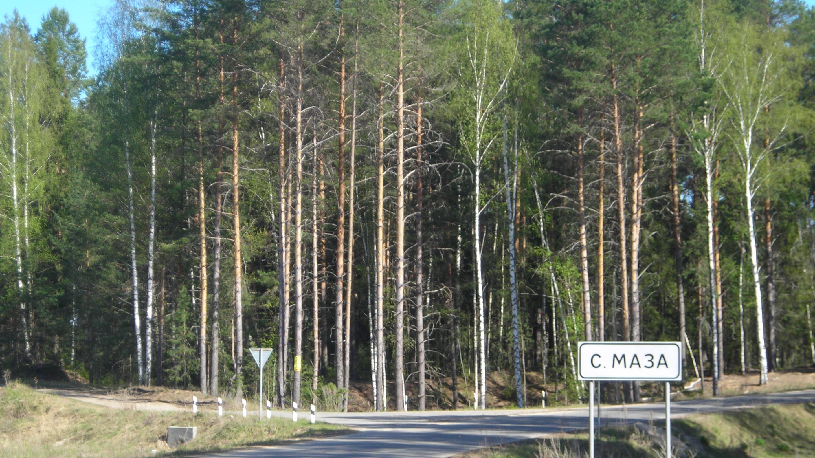 Участок ИЖС 24 сот. 
Посёлок Бор (село Сельская Маза) Нижегородской области