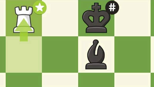 CHECKMATE in 24 with Queen's Gambit