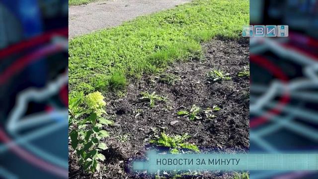 Новости за минуту