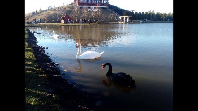 М. Каркасси Этюд