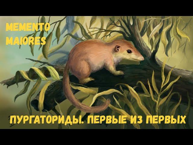 Пургаториусы.  Первые среди первых. Человечество. Помни о предках