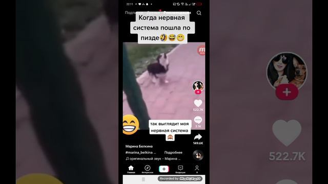 Собака сошла с ума 🤣🤣🤣