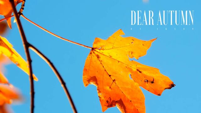 #84 Dear Autumn (Official)