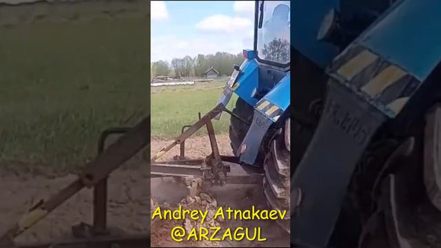 Картошка