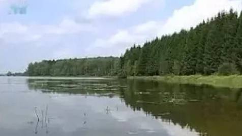 Пресный водоем. Пресные водоемы и особенности жизни в них