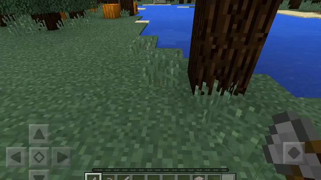 Выживание в Minecraft 1.1.0.0