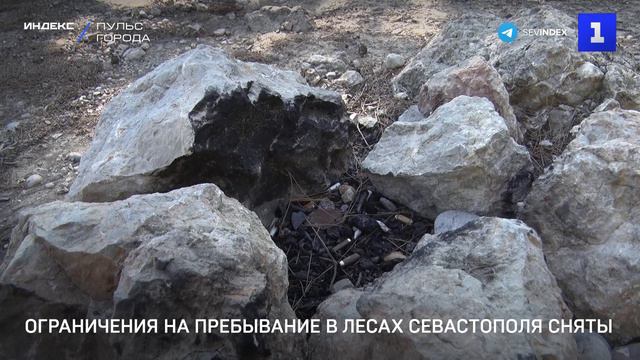 Ограничения на пребывание в лесах Севастополя сняты