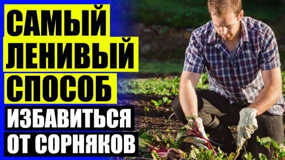 🔴 Купить гербициды сплошного действия в пензе 🔵 Обработка земли после сбора урожая картофеля 😎