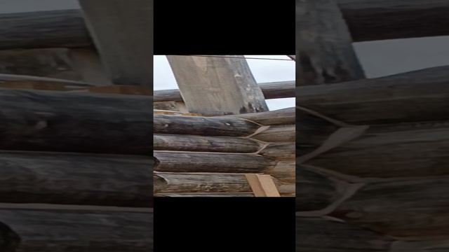дом из бревно