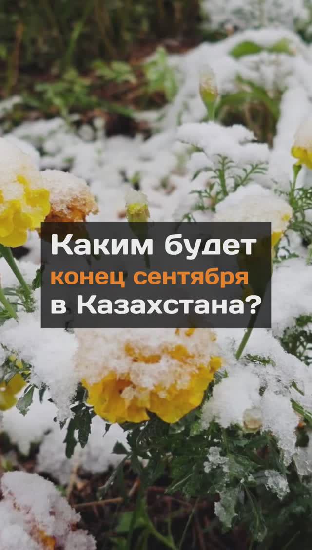 Каким будет конец сентября?