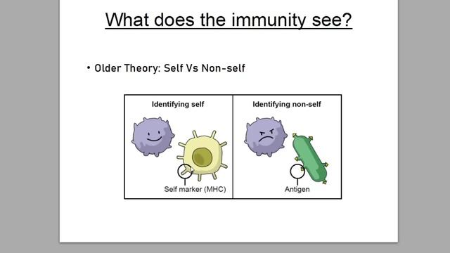 Sseth's Entire Cancer & Immunology Lecture, Final Stream