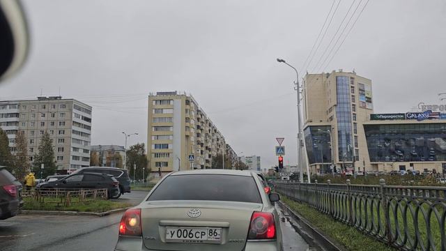 снег в лицо, а я еду/не видела этого/ на участок