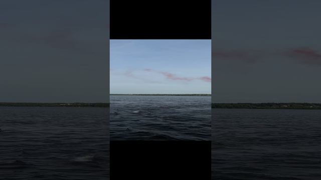 Флайборд шоу в Череповце👐